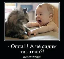 VDl3eBkDp_Y.webp