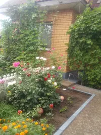 20150814_144913.webp
