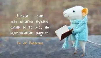 0099.webp 0099.webp