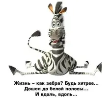 9976.webp