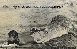 368660.webp