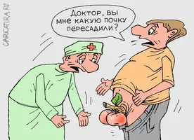 214.webp