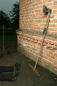 Ловушка.webp