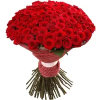 01.webp