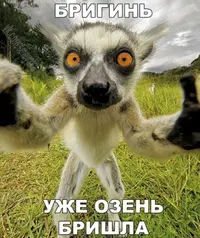 655.webp