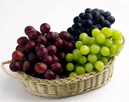 300_2.webp