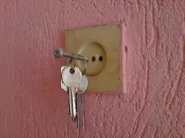 Розетка.webp