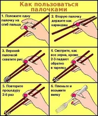 4900923.webp