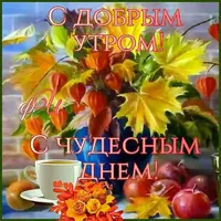 IMG-20191126-WA0000.webp