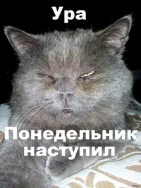 1410139359_1069066398.webp