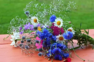 image (1).webp