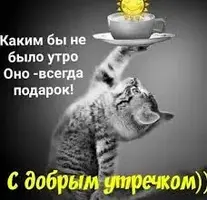images (27).webp