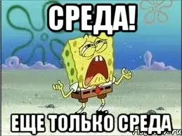 sreda-prikol-48.webp