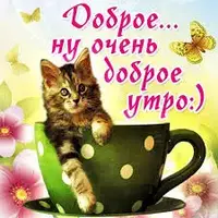 images (29).webp