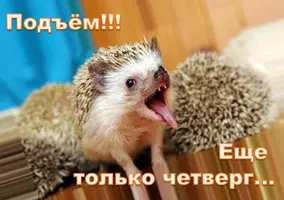 b46e38e57610144fad1f039b0b52bdab_XL.webp