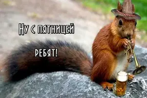 8588e9e61c422836e1a4b0a0d992d93a.webp