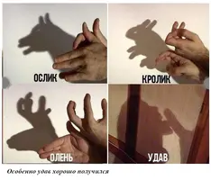 udav.webp