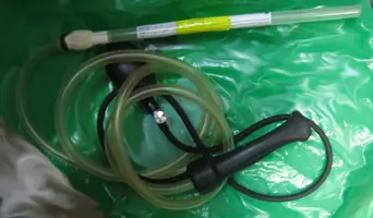 IMG_8595.webp