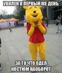 5.webp