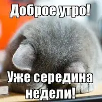084e94f6355ab2014c6afb21567b53f8.webp