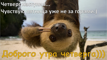 Утро-четверг-прикольные-картинки-и-фото006.webp