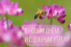 DD6515A8-D845-406D-8CD4-012755230FEE.webp