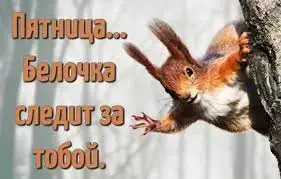 images (1).webp
