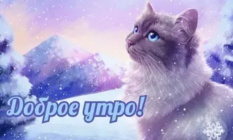 dobroe_zimnee_utro_kartinki_3.webp