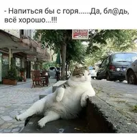 IMG_20191214_005132.webp