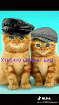 IMG-20191206-WA0004.webp