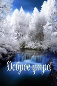 IMG-20191207-WA0000.webp