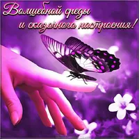 pozdravlenie-so-sredoj-otkrytka.webp
