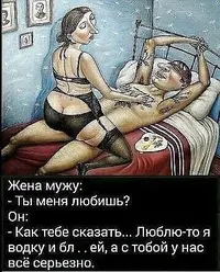 5.webp