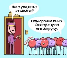 BE0B033A-20EB-4DBD-9642-79AC702F1D24.webp