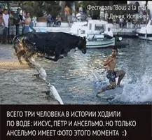 91F10248-AE4E-4895-8A0A-E6553861CEA8.webp