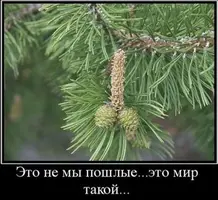big.webp