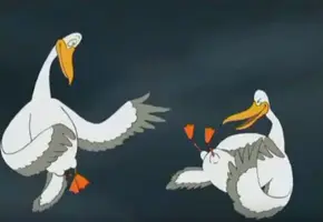 gull.webp