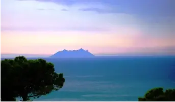 124.webp