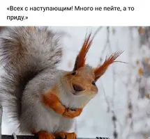 IMG-20191224-WA0028.webp