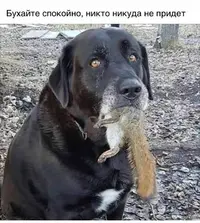 IMG-20191224-WA0029.webp