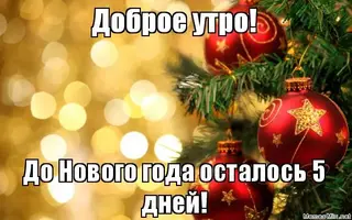 o9maiu.webp