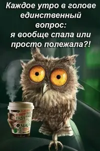 4A0339A9-B5B7-484B-B25C-105A377501E5.webp