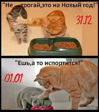 aBUUhLGyxQI.webp