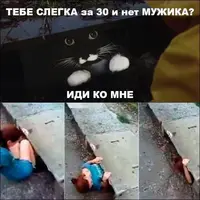 HFc_V1eUlkk.webp