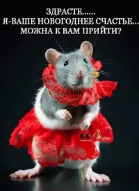 IMG-20191221-WA0009.webp