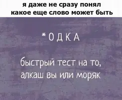 lv4dM2206lg.webp