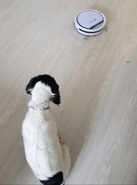 Screenshot_20191231-092130_Gallery.webp