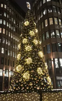 IMG_20191224_180413.webp