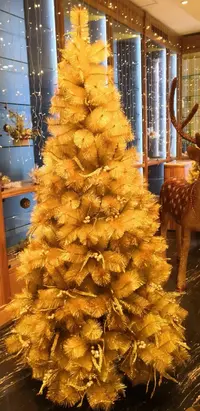 IMG_20191219_152315.webp