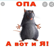 A7BF1566-5EAE-4017-BA4C-016264F072E3.webp